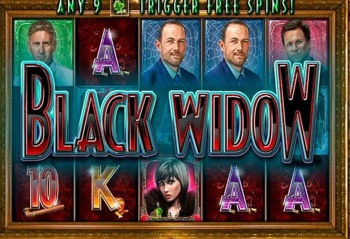 Treueprämien-Übersicht: Attraktive Belohnungen, Freispiele und Cashback für loyale Mitglieder des Casinos.